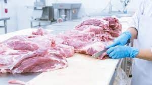 Exportaciones de carne totalizaron en enero 61,2 mil toneladas, 19,2% más que en igual mes de 2023