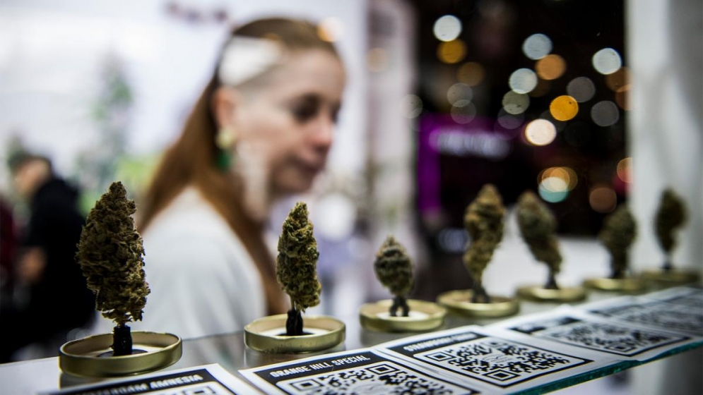 Con miles de asistentes, comenzó la Expo Cannabis en La Rural