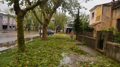 El granizo y los fuertes vientos generaron destrozos en el norte de San Luis